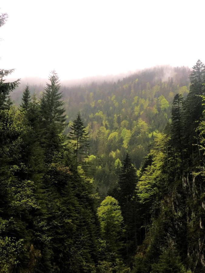 Отель Cabana Din Padure Порумбаку-де-Сус Экстерьер фото