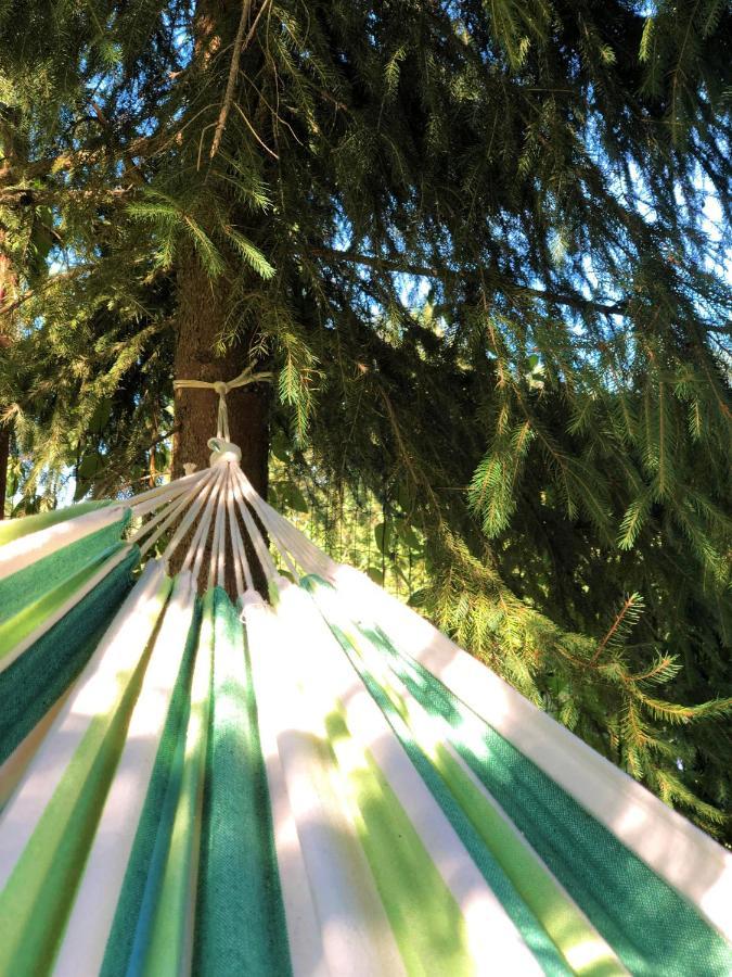 Отель Cabana Din Padure Порумбаку-де-Сус Экстерьер фото