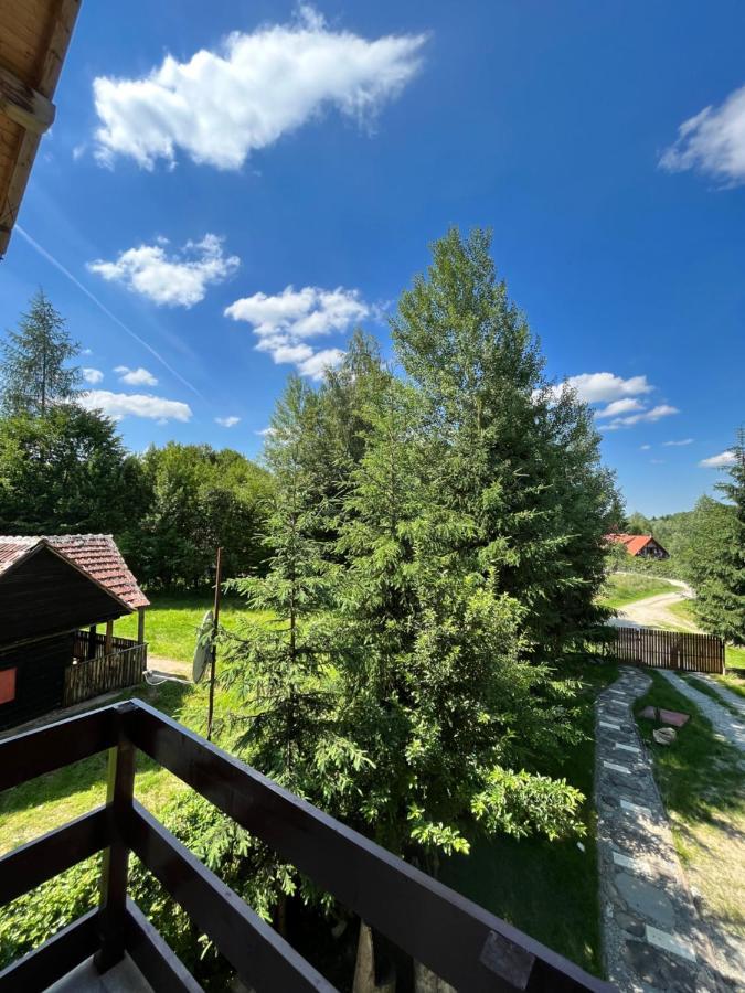 Отель Cabana Din Padure Порумбаку-де-Сус Экстерьер фото