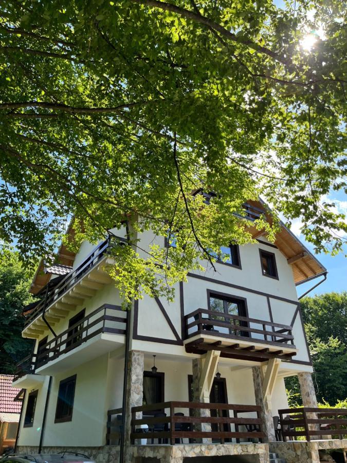 Отель Cabana Din Padure Порумбаку-де-Сус Экстерьер фото