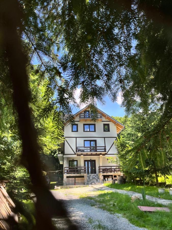 Отель Cabana Din Padure Порумбаку-де-Сус Экстерьер фото