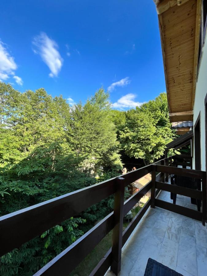 Отель Cabana Din Padure Порумбаку-де-Сус Экстерьер фото