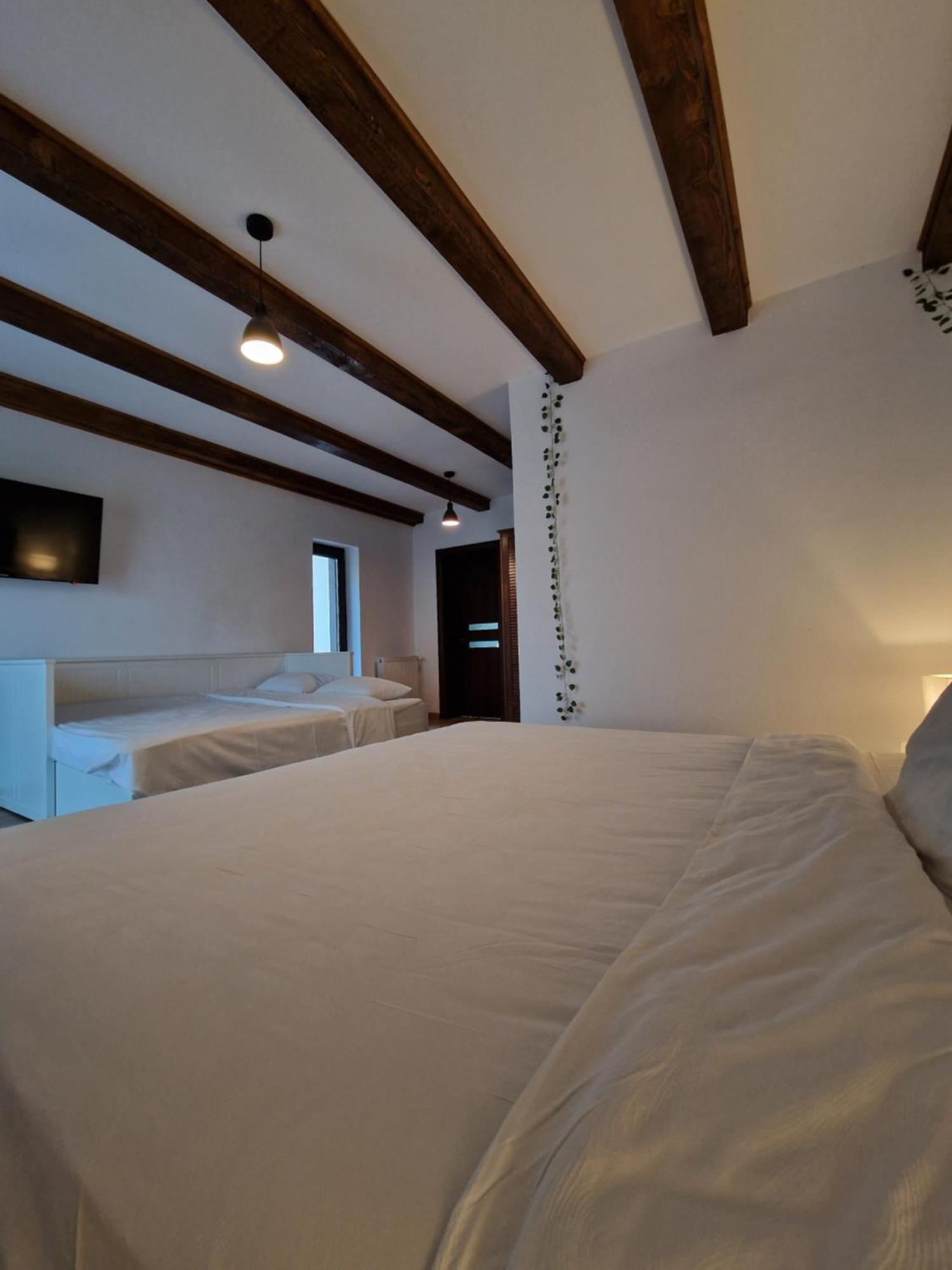 Отель Cabana Din Padure Порумбаку-де-Сус Экстерьер фото